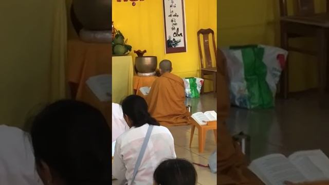 Buddhist pagoda Vietnam смотреть онлайн