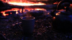 8705165-hd_1920_1080_25fps