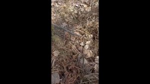 Наход 50г Мефа)💎💎💎