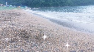 10-11-2024 Рисовая падь. Приморский край