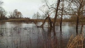 Река Уршак. БУЛГАКОВО. Третья волна разлива.