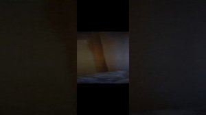 готовимся к новому году