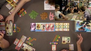 Настольная игра БОНСАЙ 🌳 играем!