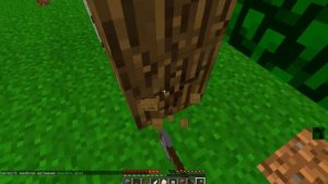 Minecraft(IP) Остров №1