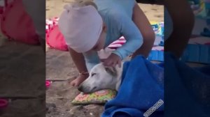 Хорошая хозяйка