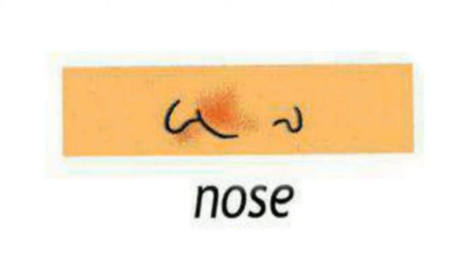 How To Pronounce Nose In British English