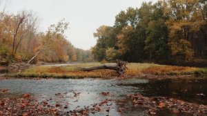 5597112-uhd_3840_2160_24fps