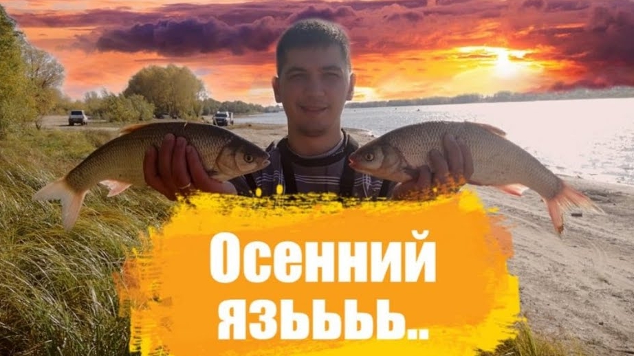 Рыбалка Иртыш. ФИДЕР Омск Николаевка октябрь 2020г.