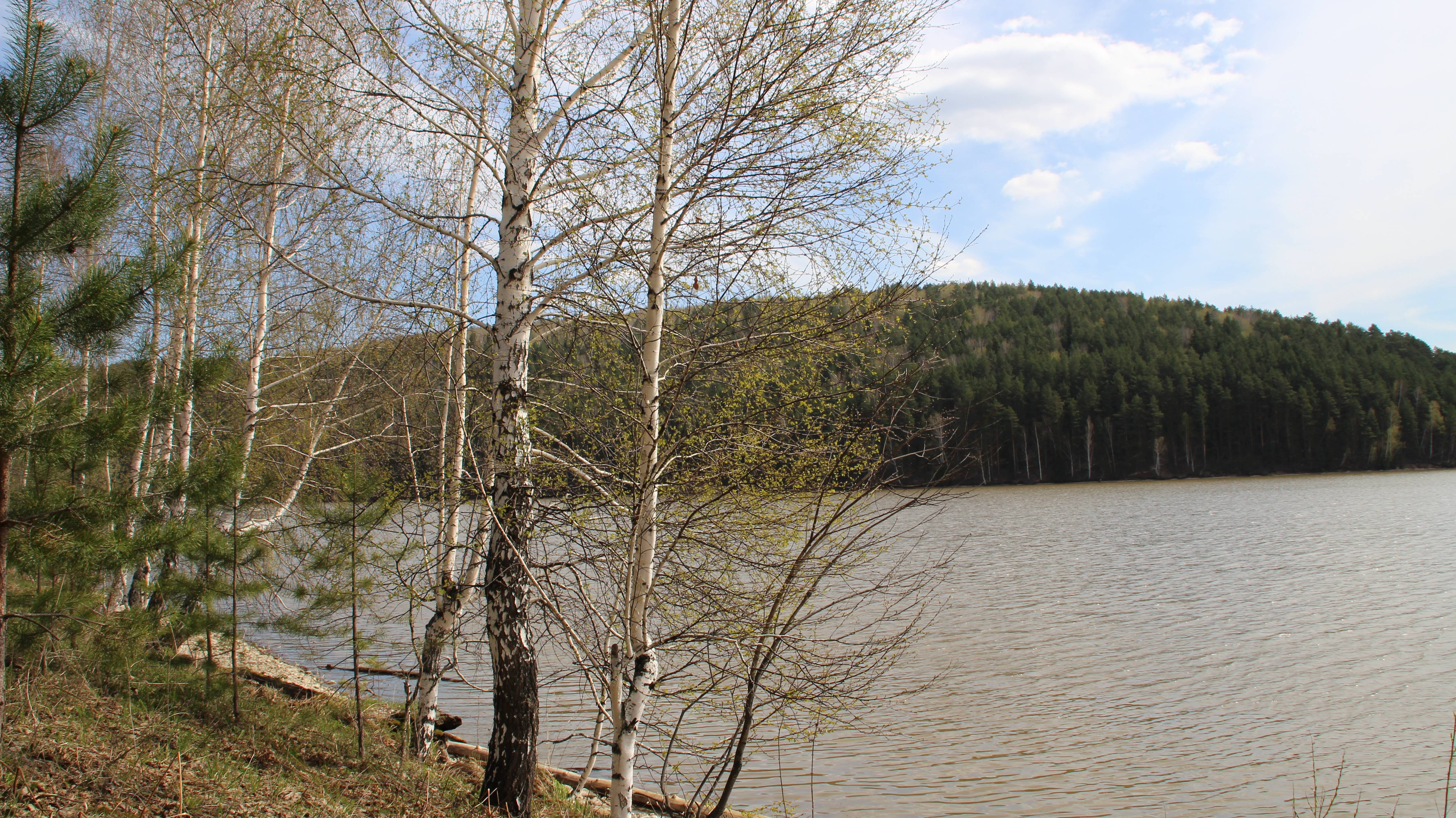 фильм Это было в Павломорске смотреть онлайн