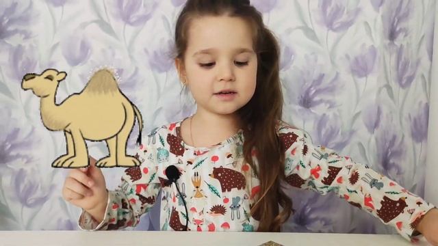 УЧИМ ЖИВОТНЫХ. МЕЛАНИЯ, КАК УЧИТЕЛЬ.