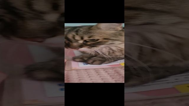 как !?