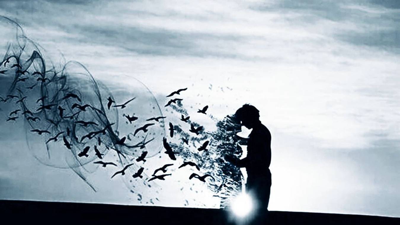 SVETOCHEK-Киты Кошки