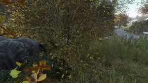 DAYZ. Cервер WASD. Время рейда