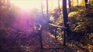 Mirrorthrone - Racines Denudees (с переводом)