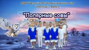 Защита проекта Полярные совы