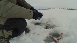 Ловля ОКУНЯ зимой, и как ЩУКА балансир украла. ВЕРХНЕУРАЛЬСКОЕ водохранилище.