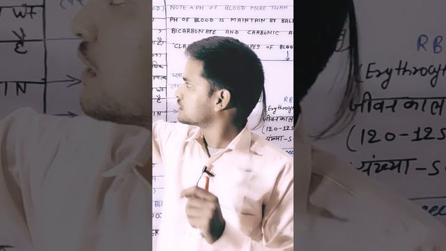 क्या खून 🩸 का स्वाद चखा है आप ने смотреть онлайн