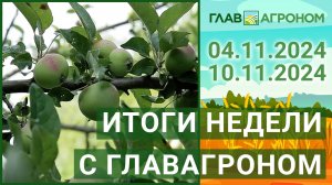 Итоги недели с ГлавАгроном. 04.11.2024 - 10.11.2024