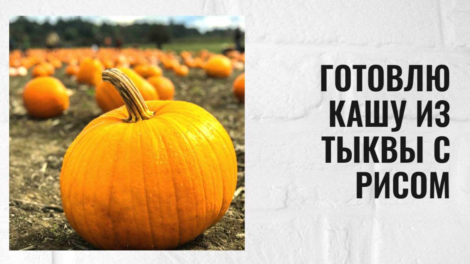Как варить рис с тыквой. Как варить рис с тыквой