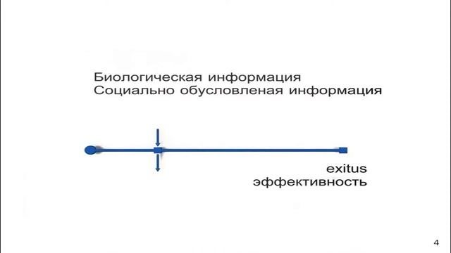Вступительное слово. Кузнецов П.П.