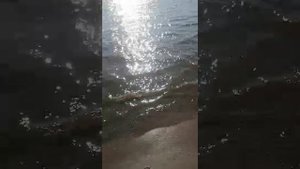 Рыбалка в. Батово