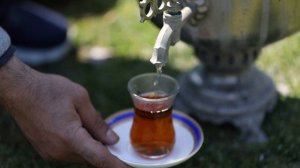 12664523-hd_1920_1080_25fps