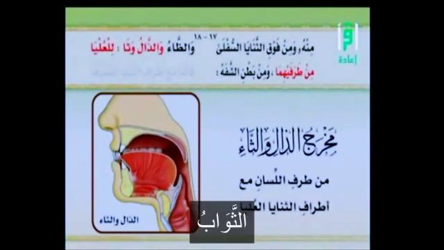 Айман сувейд буквы. Доктор айман таджвид. Махрадж мукаддар. Места образования арабских букв. Айман сувейд буквы.