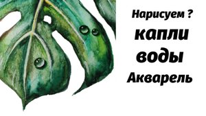 Как нарисовать акварелью капли воды на листе монстеры