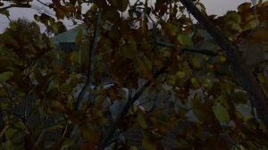 DAYZ. Знакомимся с сервером Dark Knights