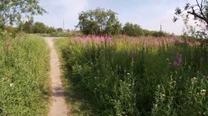 Прогулка по беговой дорожке и разговоры по пути. Магадан 2020