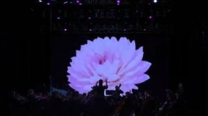 Д. Шостакович Вальс №2.mp4