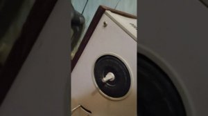 Нашёл на улице Ростов 105-1...