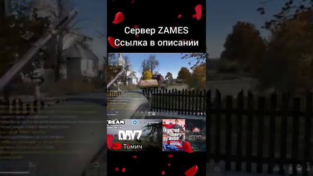 Штурм военного грузовика. Такое можно встретить на пвп сервере ZAMES в Dayz. "Как до Москвы раком"