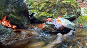 6392476-uhd_3840_2160_30fps
