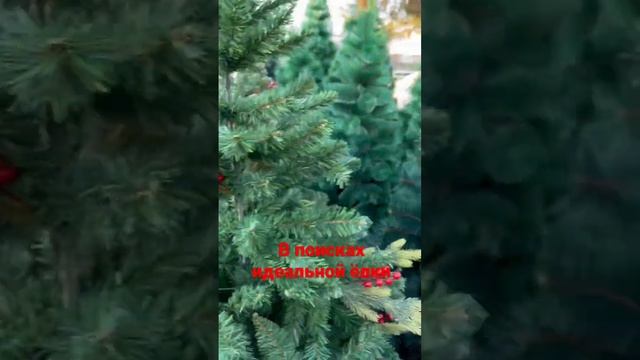 В поисках идеальной ёлки смотреть онлайн