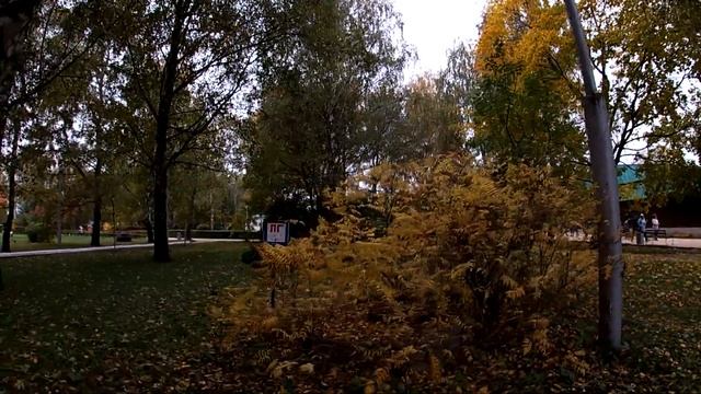 Константиново в октябре. Ярмарка и праздник на родине Есенина. Прогулка по Константиново. Часть 2