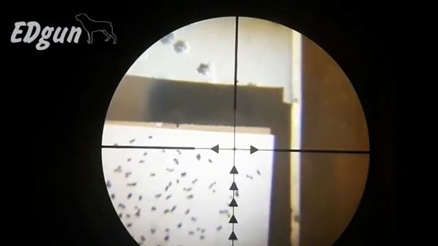 Edgun Matador R5m смотреть онлайн