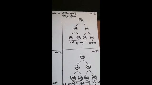 Презентация проекта Лайм | Почему мы выбрали эту компанию смотреть онлайн