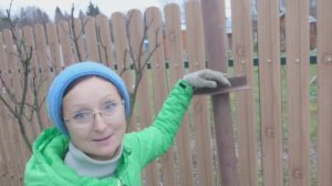 Видео привет с 6 соток 9 ноября 2024 года.