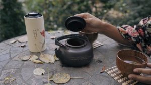 9785793-hd_1920_1080_25fps