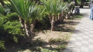 НАШЛИ КРУТОЕ МЕСТО В АНАПЕ. АНАПА - В МОЁМ СЕРДЦЕ. ОТДЫХ. МАЙ 2024.