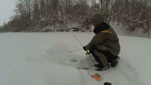 Зимняя рыбалка на малой реке. "ГЛУХОЗИМЬЕ"или НЕТ? Конец января.