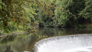 3091100-hd_1920_1080_25fps