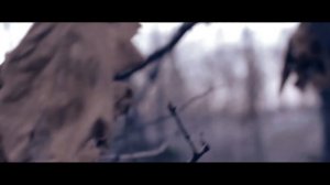 Тест объектива Canon EF 50mm f1.4 USM [BVDPXL]