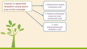 Адам экожуйенің бір бөлігі