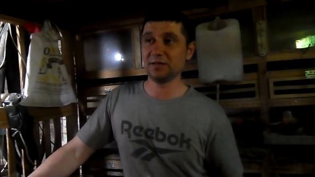 Вылупились перепелята. Починил инкубатор.