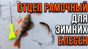 Отцеп рамочный для зимних блесен