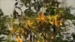 Мегапроекты СТАЛИНА ⚡ скрываемая ПРАВДА!