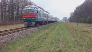 ДР1А-166 (БЧ, ТЧ-7 Брест) рейсом №6353 Лунинец - Брест