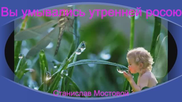 Вы умывались утренней росою